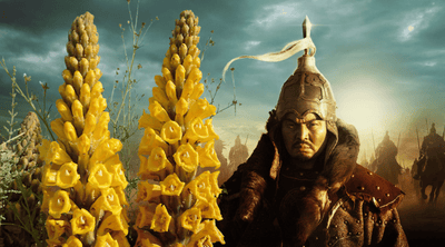 emperor and cistanche