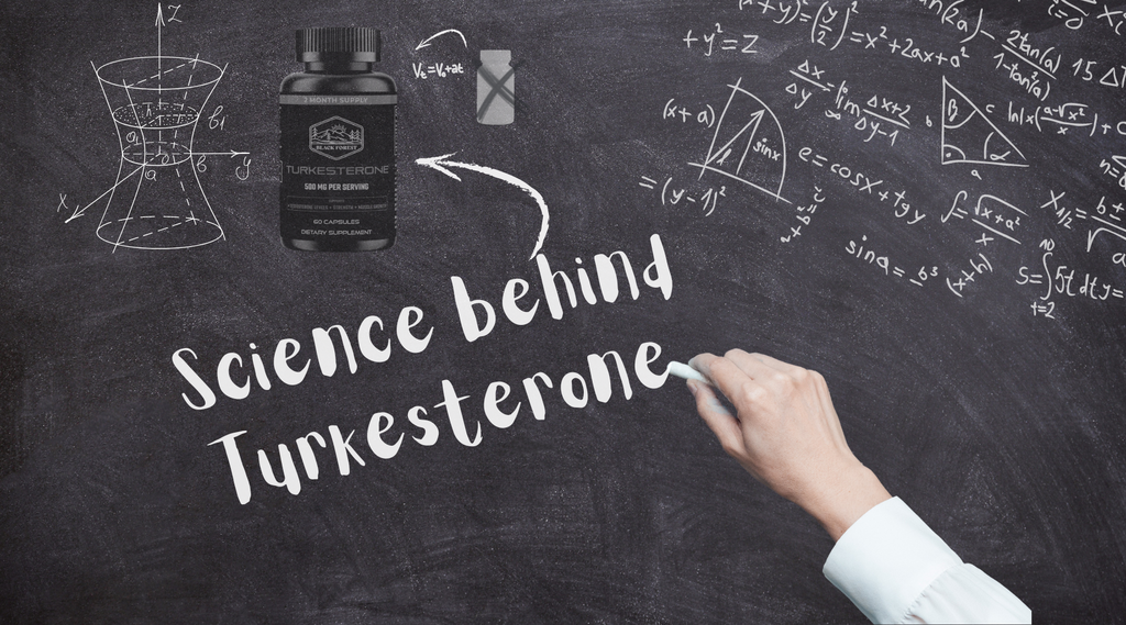 Does Turkesterone Work? Unpacking the Science Behind Our Supplement