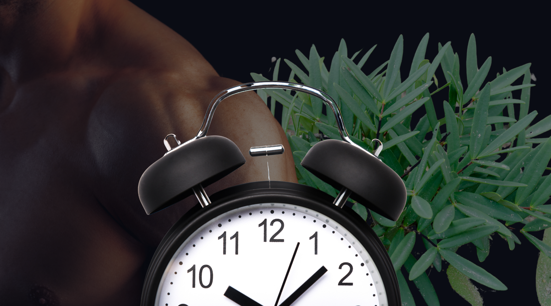 How long does it take for Tongkat Ali to work – Black Forest