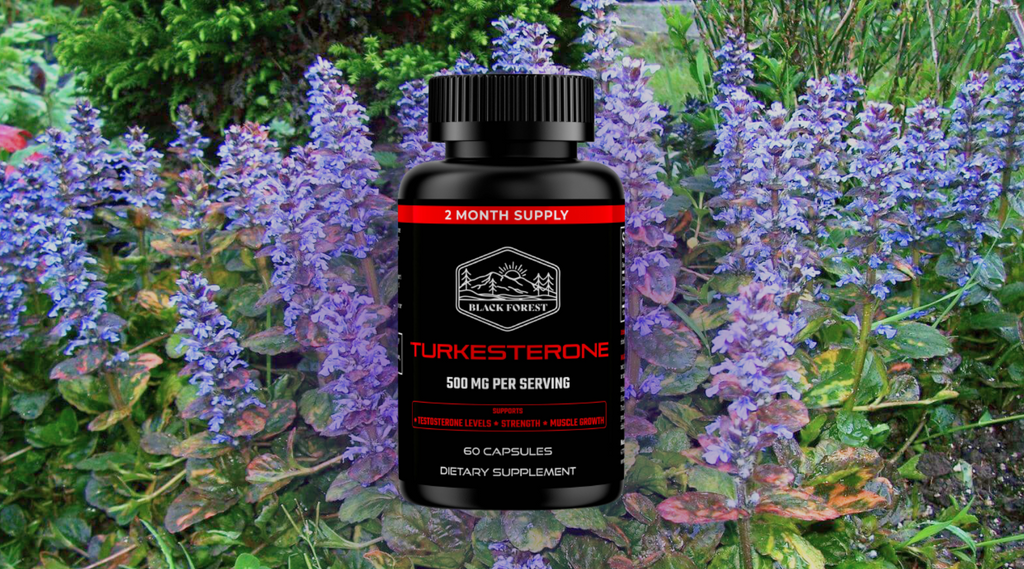 Turkesterone: everything about the trendy supplement