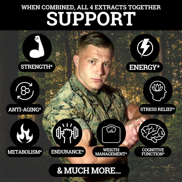 Memorial Day Heroes Bundle