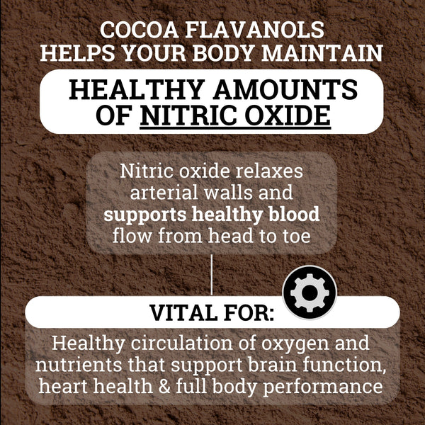 Cocoa Flavanols 1200MG | 12X Stronger than Regular Cocoa...