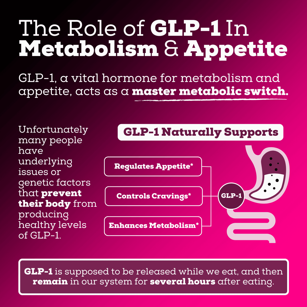 Metabolism Stack