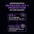 Akkermansia Probiotic Supplement | 100 Million AFU & Enhanced with FOS