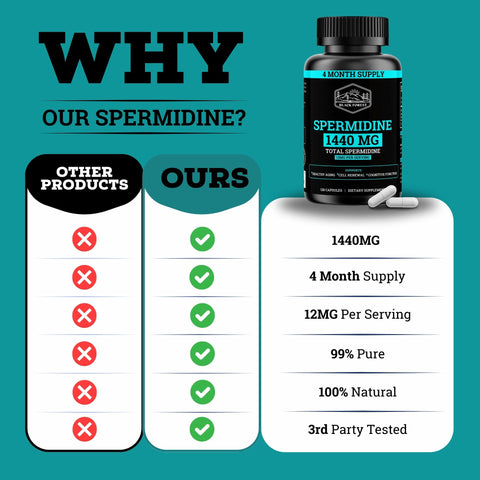 Spermidine 1440MG | 12MG Per Capsule | 4 Month Supply