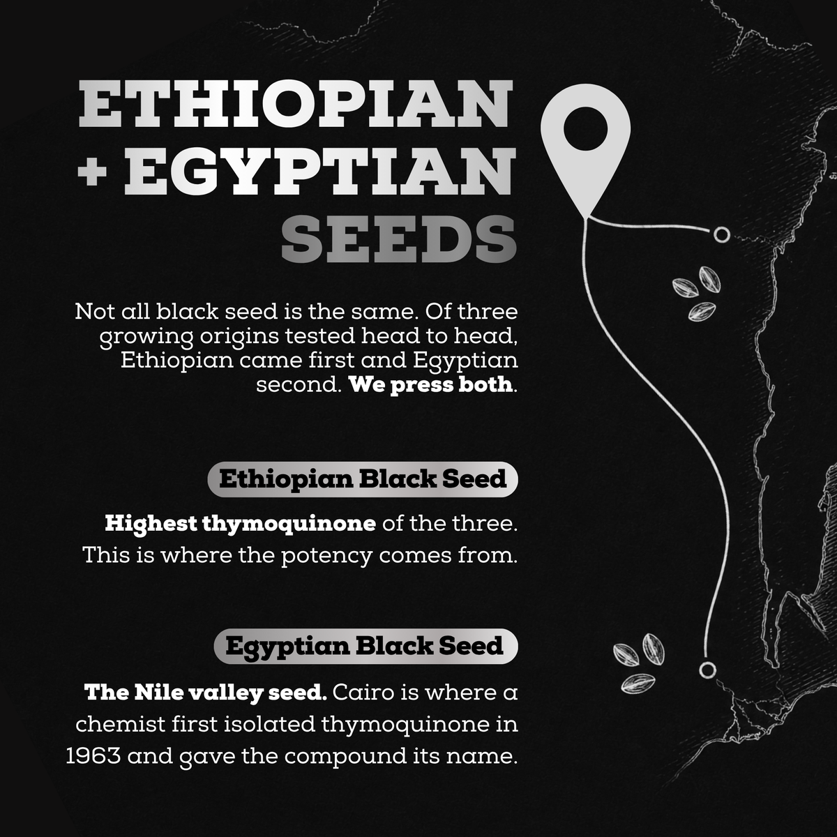 Ethiopian Black Seed Oil 1000MG Softgels