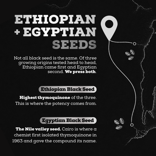 Ethiopian Black Seed Oil 1000MG Softgels