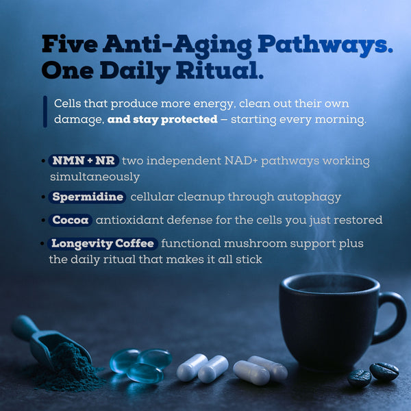 THE LONGEVITY STACK™