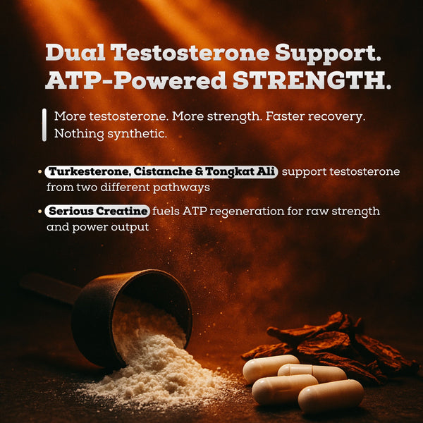 The Performance Stack™