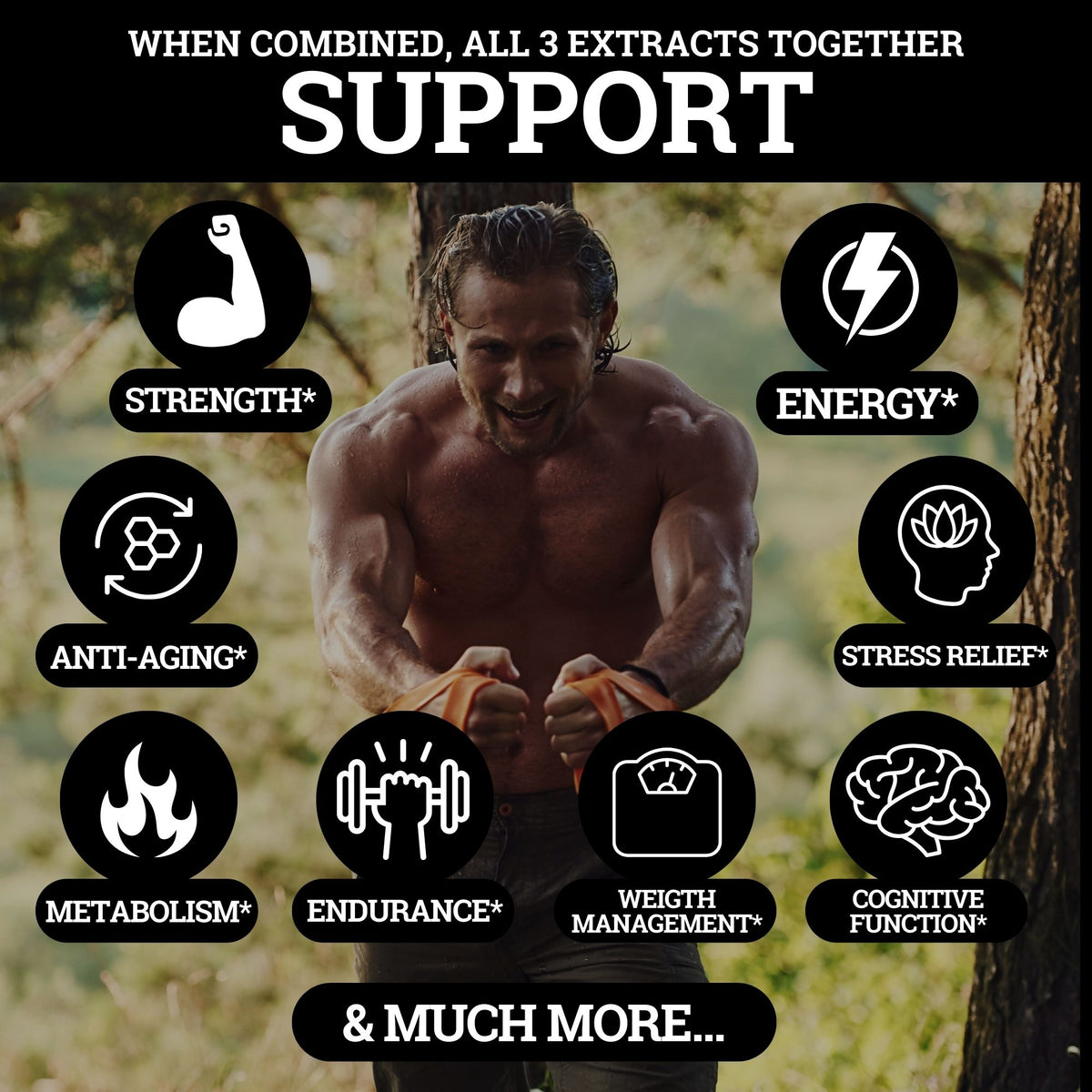 2 Month Supplement Survival Kit