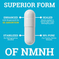Black Forest NMNH 250MG | Enhanced with BioPerine® for 3X Absorption