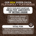 Supercharged Cocoa Flavanols 1950MG | 12X Potency