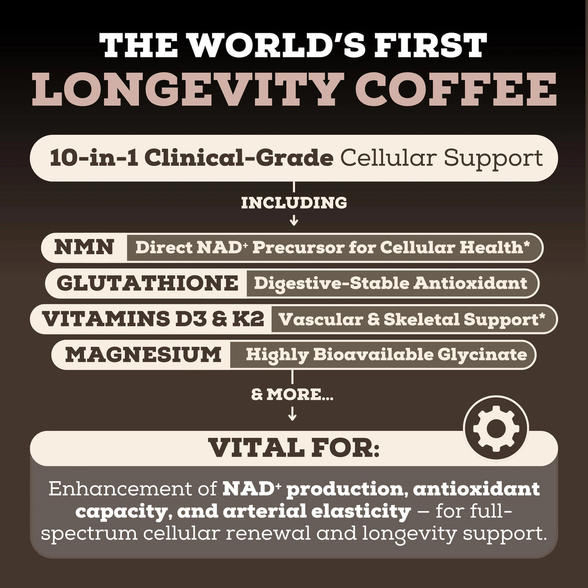 Longevity Coffee (10-In-1)