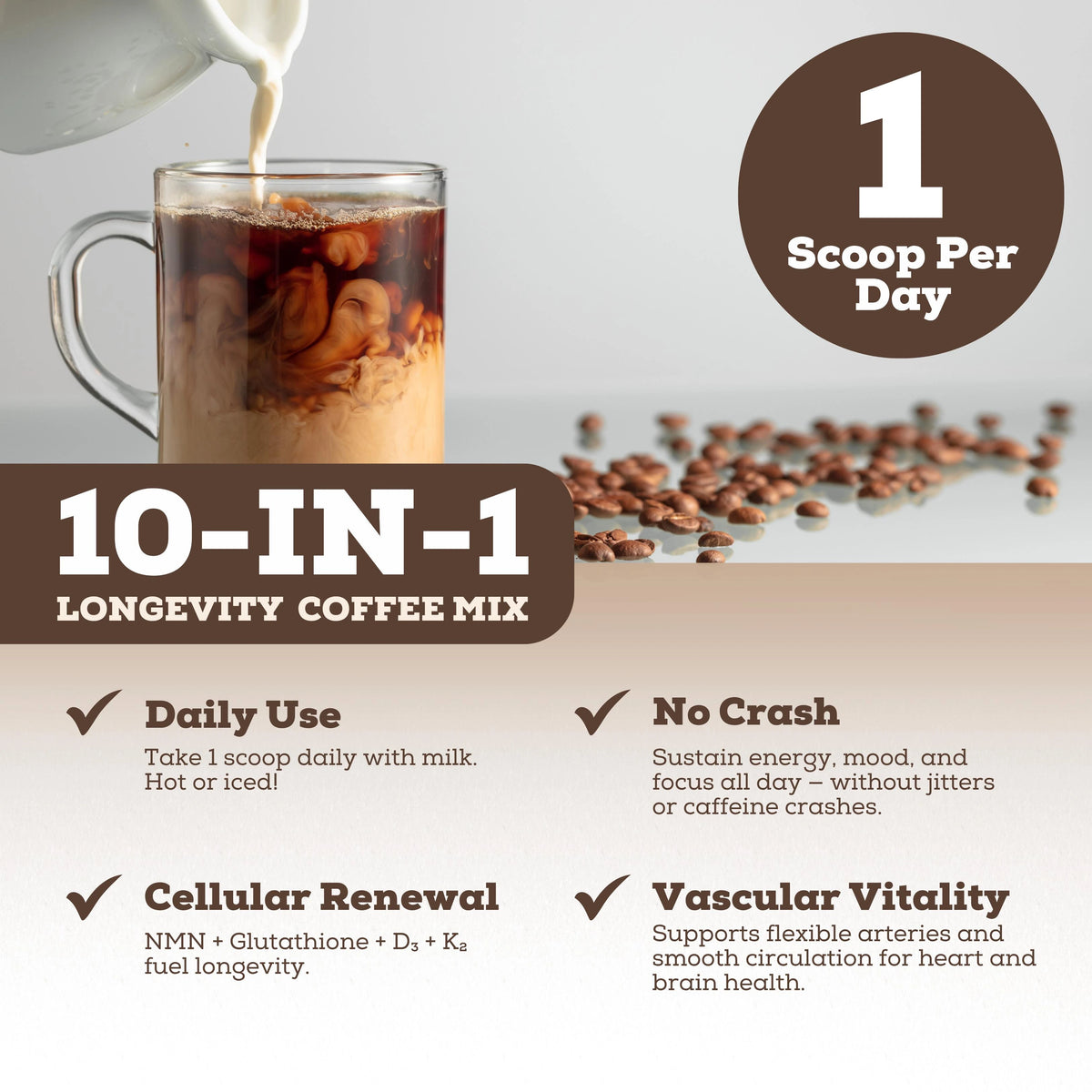 Longevity Coffee (10-In-1)