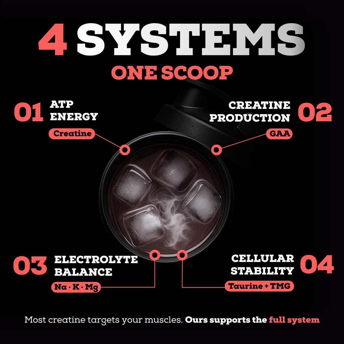 The Serious Creatine™