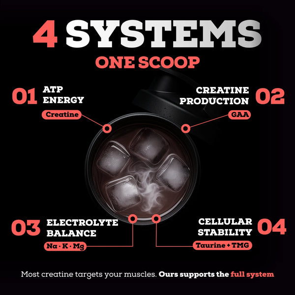 The Serious Creatine™