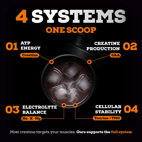 The Serious Creatine™