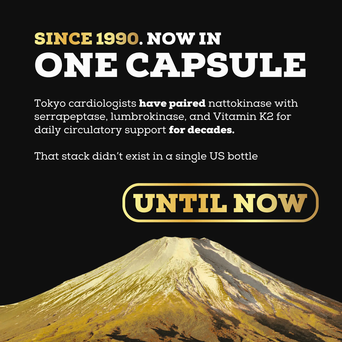 Nattokinase 4-in-1 Cardio Complex 10,800 FU