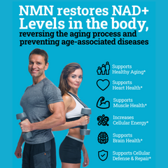 buy nmn supplement  buy nmn online  buy nmn