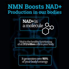 buy nmn supplement  buy nmn online  buy nmn